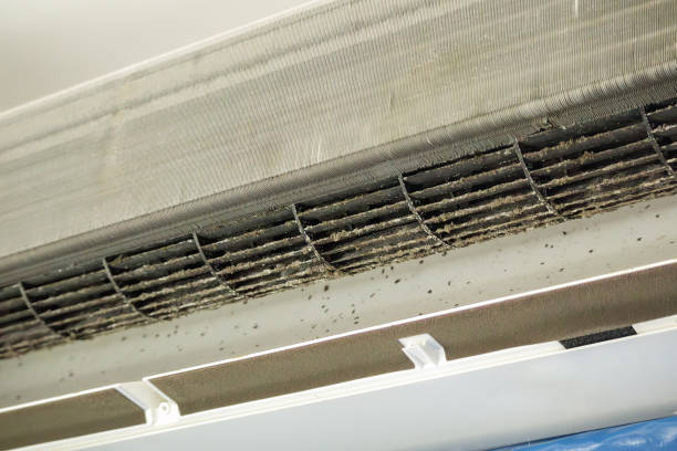 Best Affordable HVAC Duct Cleaning  in Hackettstown, NJ